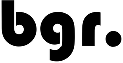 BarsGripsRings logo