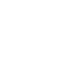 BeSpartanFit logo