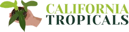 California Tropicals logo