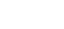 DIGNITE STORE logo