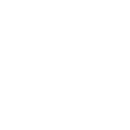 FASH STOP logo