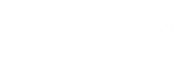 FINTISO logo