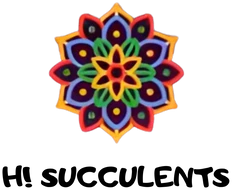 Hi Succulents logo