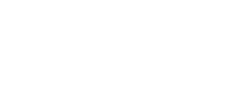 Leading Solutions logo