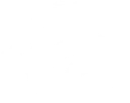 Nemea Athletica logo