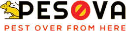 PESOVA logo