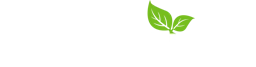 RainPoint logo