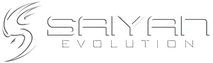 Saiyan Evolution logo