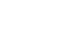 The Space Store logo