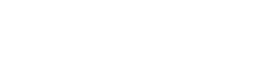 Western Willow Boutique logo